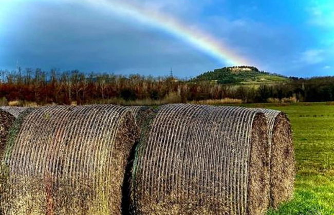 "la Casa Delle Bimbe" - Foto 14