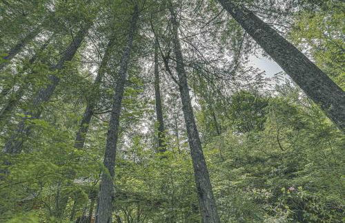 River Breeze Chalet - Meredith Lodging - Photo 24