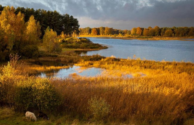 Tranquil Stay in Drenthe - Photo 22