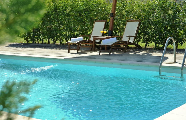 Il Viaggio Verde - Photo 12