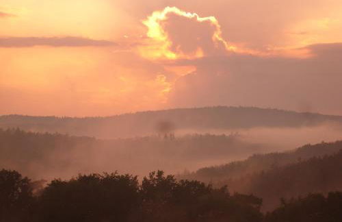 Ellernhof im Spessart - Foto 11