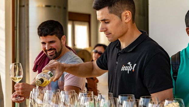 Visita privada al viñedo vasco : Cata de vinos Txakoli desde Bilbao - Foto 3