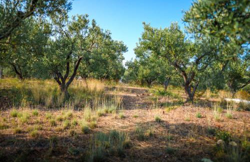 SEA VIEW Ranch By the Sea - Photo 27