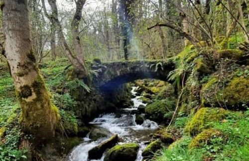 mcastet, casita aranesa en el valle de aran - Foto 53