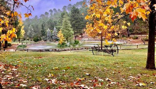 Casa Rural Riópar, luxury in nature - Foto 4