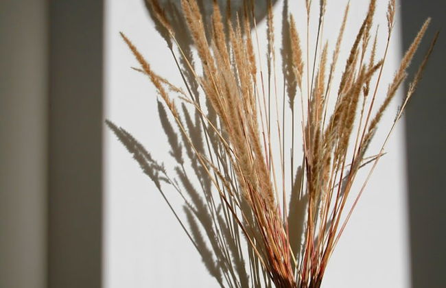 DALI Jade house - Foto 57