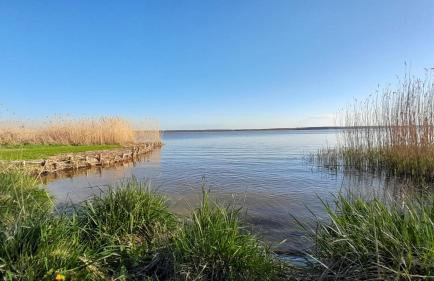 Villa Aurea - Foto 37