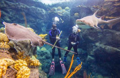 Cozy sanctuary minutes from the bay and beaches - Foto 44