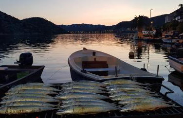 Apartments Damić - Photo 43