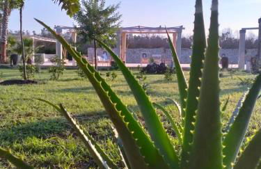 Tenuta La Spezia - Foto 68