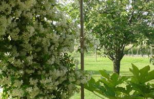 Casa Margubbio - Foto 26