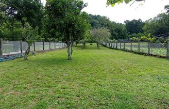 Agro do Souto, Noia - Villa completa - Foto 70