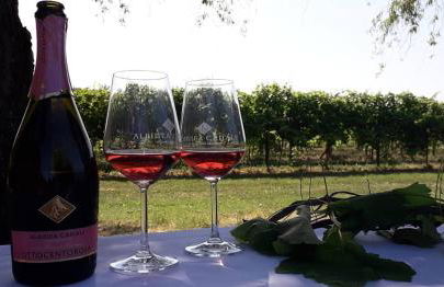 Agriturismo Vitae - Foto 21