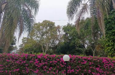 CHÁCARA STA EDWIGES/ARUJA - Foto 15