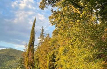 La Casella Antico Feudo di Campagna - Foto 83