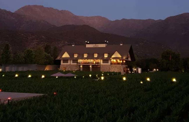 Excursión al viñedo Alyan al atardecer - Foto 3