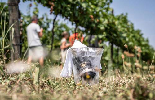 Agriturismo Borgoluce - Foto 108