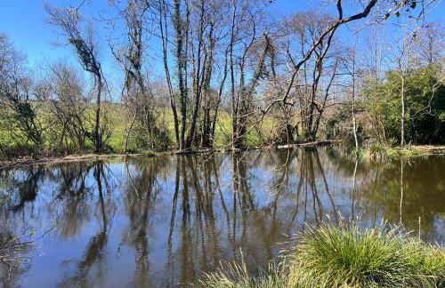 Gîtes du Semeno - Foto 8