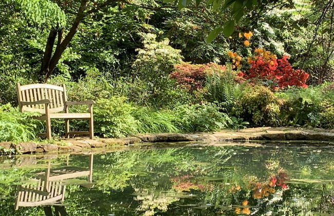 Little Norton Mill - Photo 19