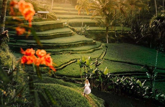 Visite guidée dans Ubud - Photo 5