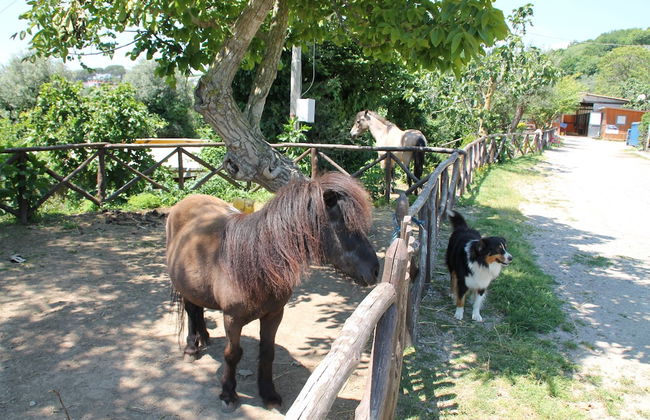 Agriturismo Piccolo Paradiso - Foto 44