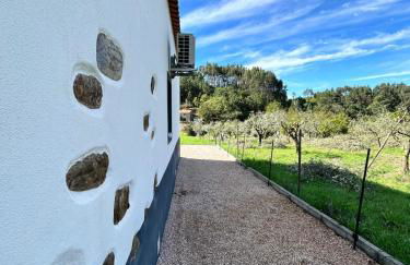 Casa da Bivó - Foto 3