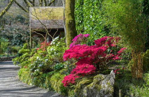 Pinetum Garden Cottages - Foto 50