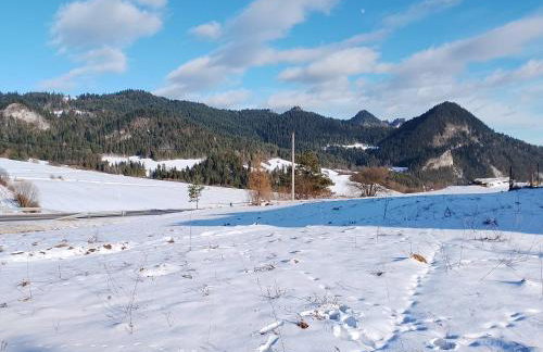 Agroturystyka Pod Zamczyskiem - Photo 24