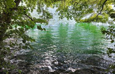 IN CENTRO APARTMENT - Foto 28