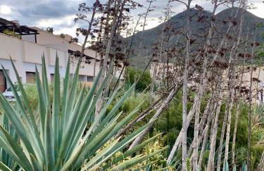 LA PITA DEL POZO - Foto 42