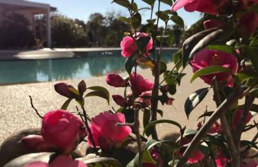 L'Hacienda Piscine chauffée à 28, spa, boulodrome et court de Tennis privés, 2 villas indépendantes - Foto 20