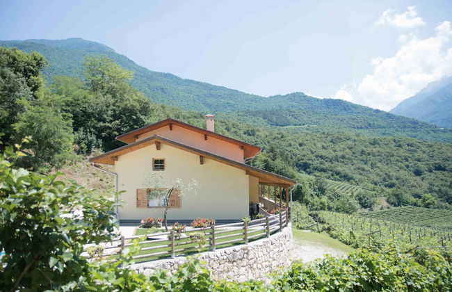 Agritur Casteller - Foto 73