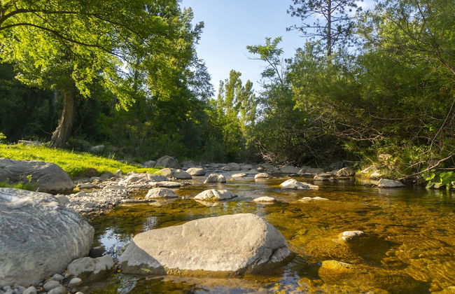 La Cartiera dei Benandanti - Foto 57