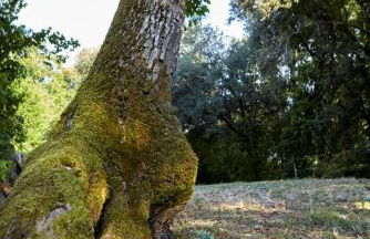 Domaine de Cantegrel - Gîtes de Charme et Suite Troglodyte en Périgord - Foto 58
