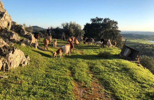 Casa Castelo de Alegrete by Portus Alacer - Foto 37