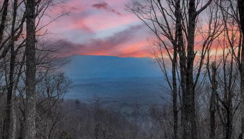 Vineyard Mountaintop Cottage - Foto 4