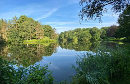 Apartment am Bürgerpark - Foto 27