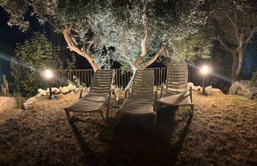 Jenny - Via Vittorio Minelli - Foto 33