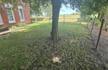 Haus Tunix Hunde sind herzlich willkommen - Photo 57