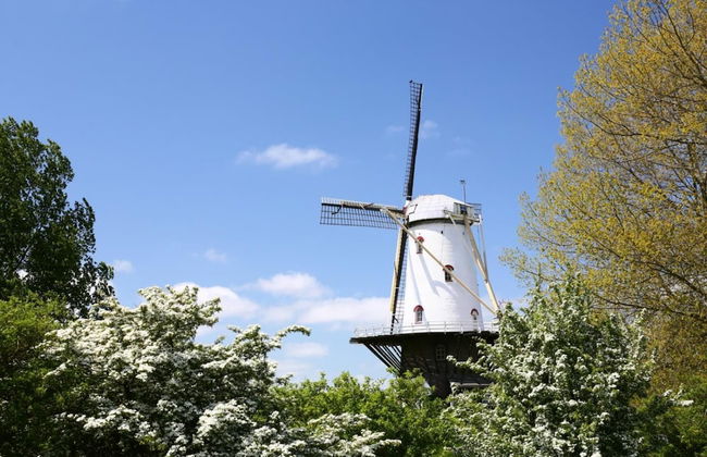 Studio - Langstraat 29C Zoutelande - Photo 23