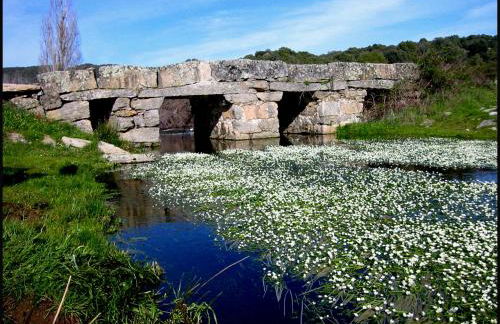 La casita de Ra - Foto 40