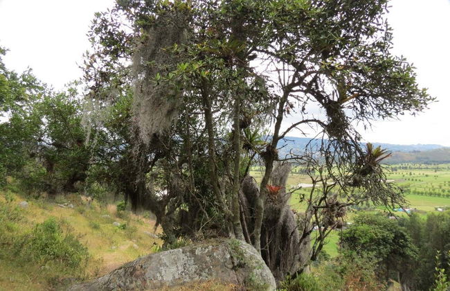 Cucunubá Hiking Tour - Foto 7