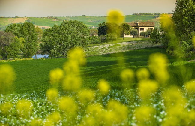 Inviting Holiday Home in San Costanzo With Swimming Pool - Foto 42