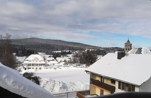 Holiday Home in Haidmühle mit Großem Garten by Interhome - Foto 20