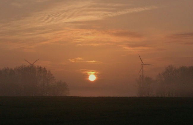 Ostsee-Landhaus - Foto 63