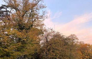 The Little Gable - Foto 16