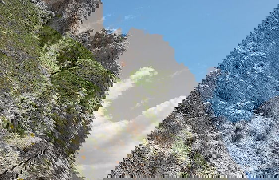 Villa Alpenpanorama - Foto 48