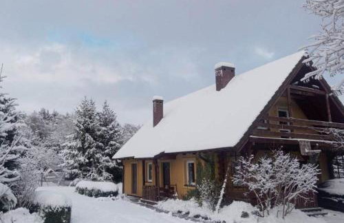 Biały Dzik Uszyszek - Foto 13