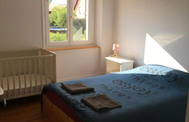 gîtes au domaine Greiner - Foto 38