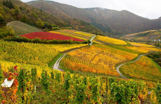 Sartoris Comfortable Holiday Residence - Foto 13